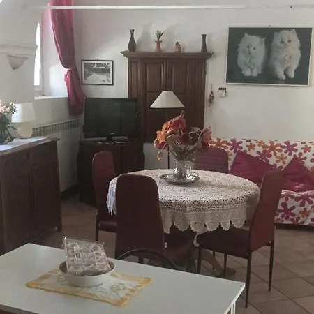 Caprifoglio In Miasino
