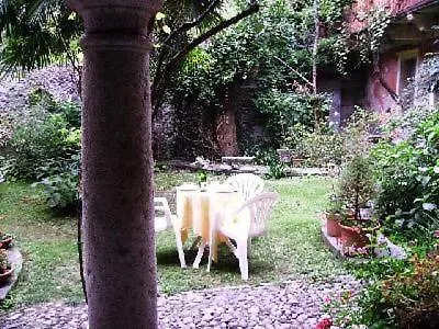 Caprifoglio In